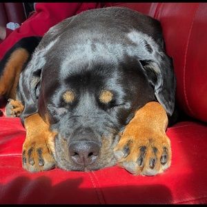 Meet your Posher, Kim